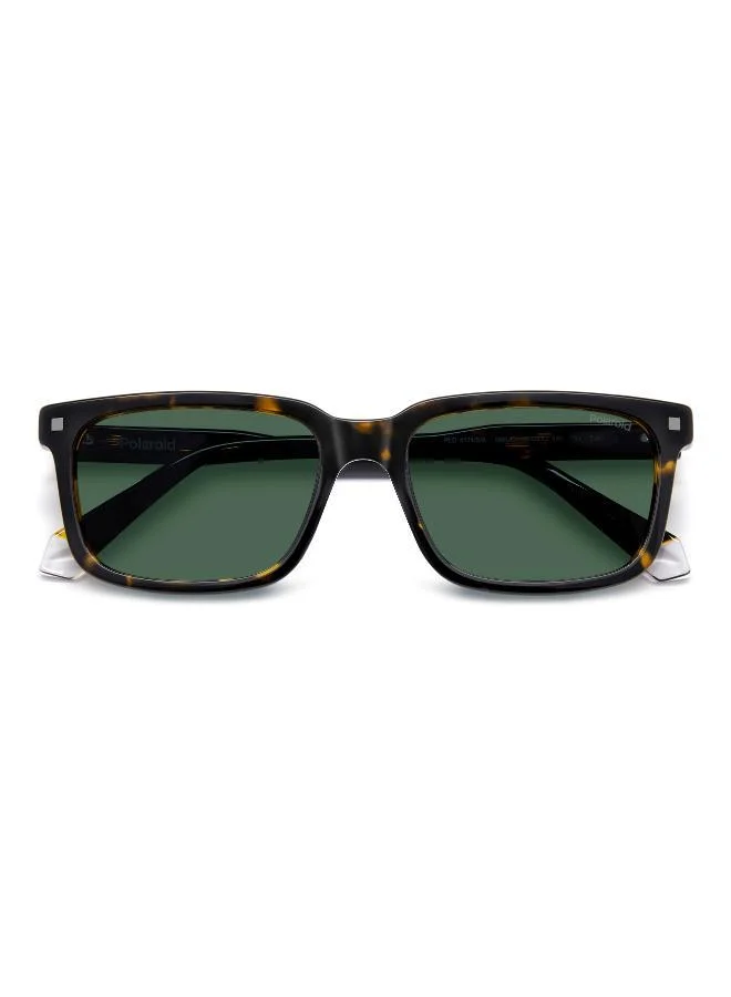 Polaroid  Wayfarers Sunglasses for Men | Best Price UAE