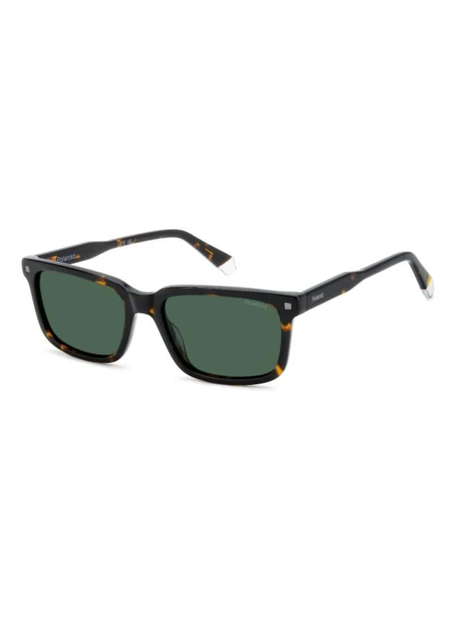 Polaroid  Wayfarers Sunglasses for Men | Best Price UAE