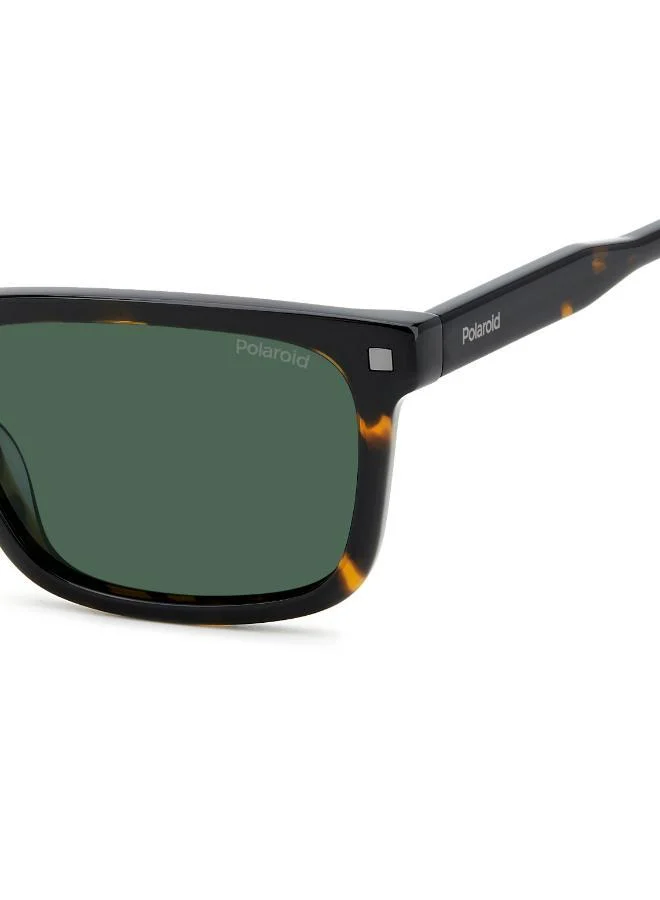 Polaroid  Wayfarers Sunglasses for Men | Best Price UAE