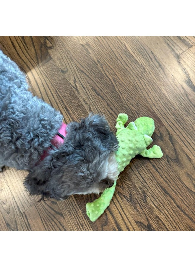 spot - SPOT Skinneeez Extreme Stuffers Frog - Stuffing Free Dog Toy With Squeaker & Rip Stop Mesh Lining for Durability - Insert Plastic Bottle for Extra Crunch, For Small to Medium Puppies & Dogs - 14in - Image 1