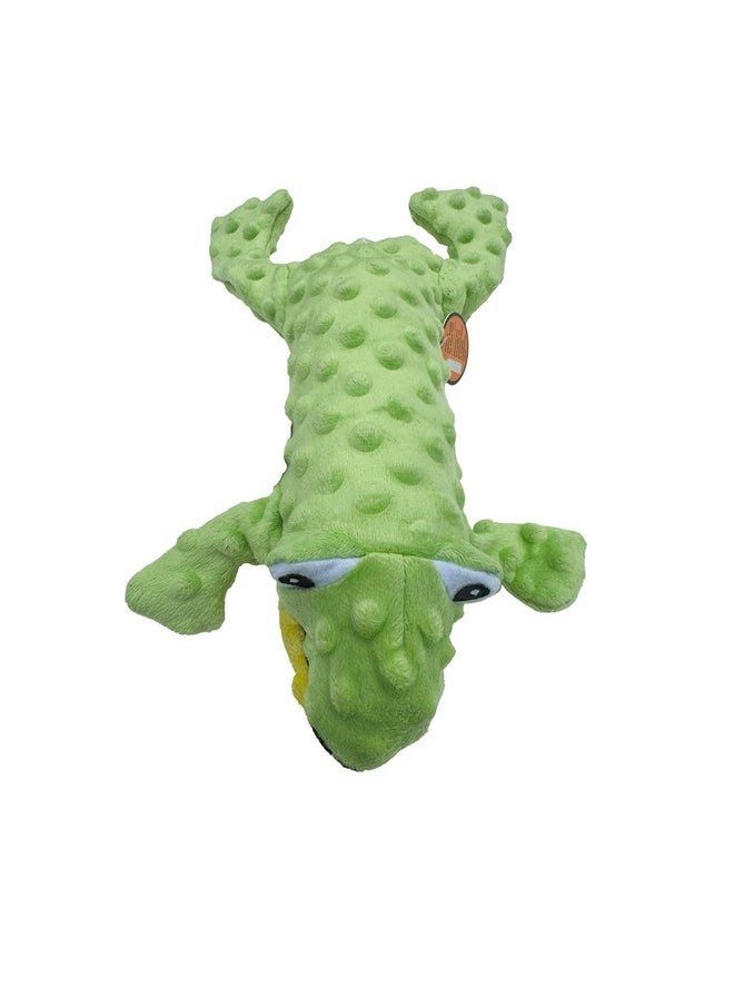 spot - SPOT Skinneeez Extreme Stuffers Frog - Stuffing Free Dog Toy With Squeaker & Rip Stop Mesh Lining for Durability - Insert Plastic Bottle for Extra Crunch, For Small to Medium Puppies & Dogs - 14in - Image 1