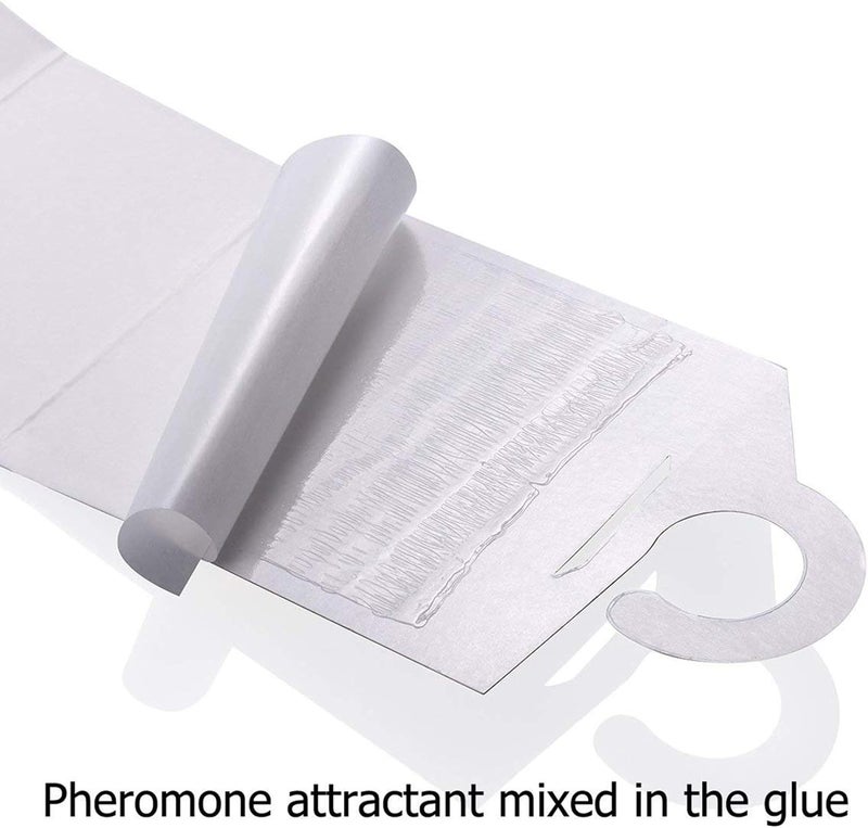 Faicuk 12-Pack Clothes Moth Traps with Pheromone Attractant for Closet and Carpet - Image 3