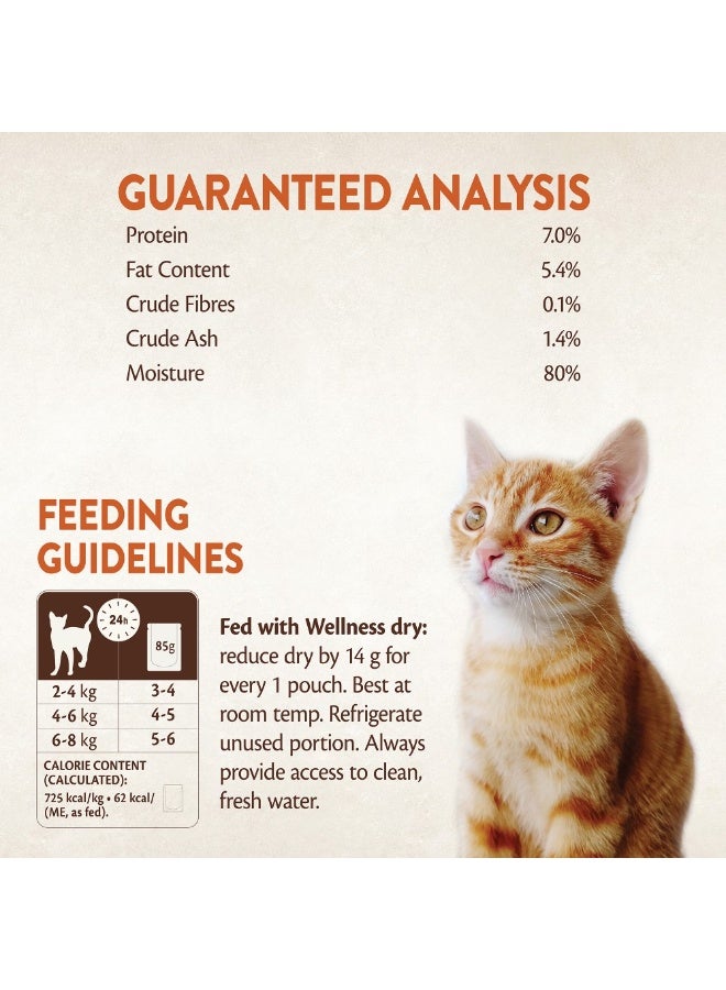 ويلنس كور تندر كتس – تونة في صوص شهي – 85 جم × 6 علب - Image 4