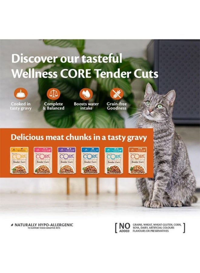 ويلنس كور تندر كتس – تونة في صوص شهي – 85 جم × 6 علب - Image 5