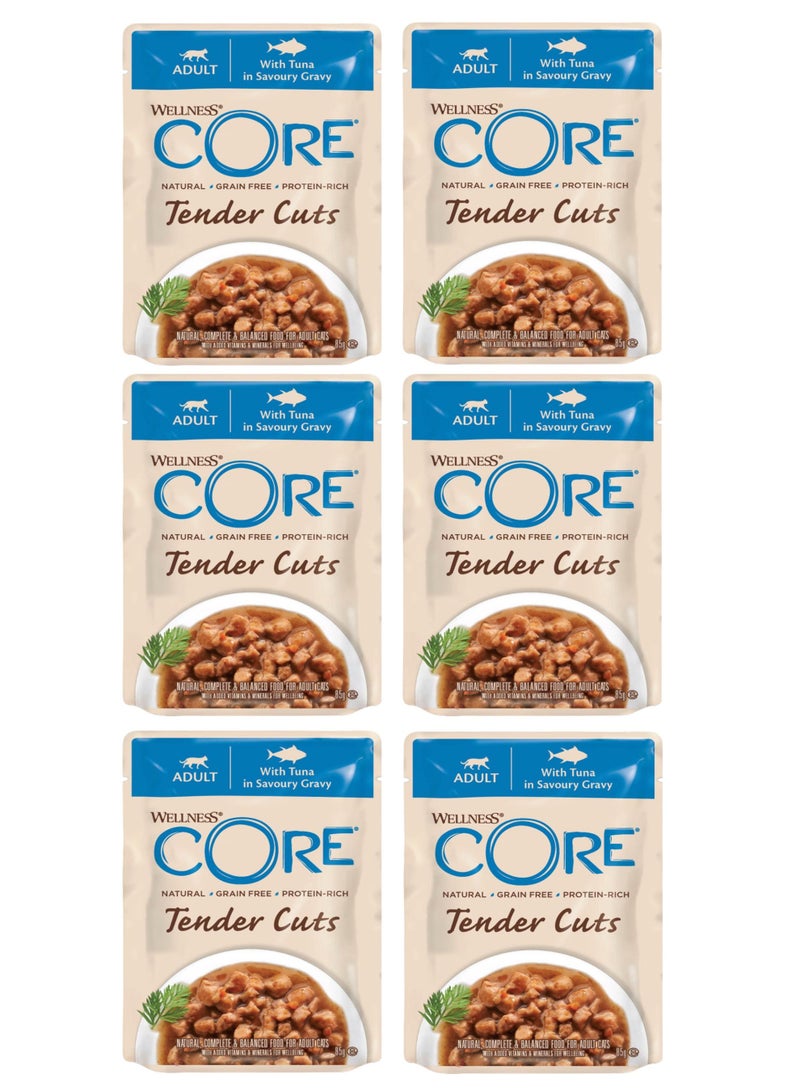 ويلنس كور تندر كتس – تونة في صوص شهي – 85 جم × 6 علب - Image 1