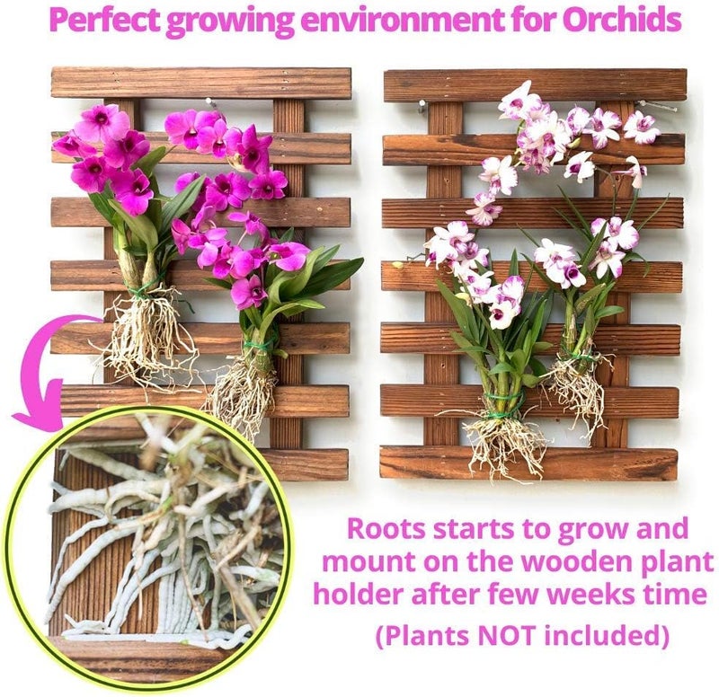 ShopLaLa Wall Planters - 4 Pack Wooden Hanging Planter for Indoor Outdoor Plants, Air Plant Succulent Orchid Holder, Live Vertical Garden Wall Mounted Plant Stand, Wall Christmas Decor 15.7" (40cm) - Image 5