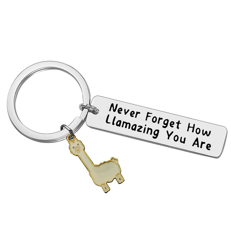 Baipilu Llama Keychain Llama Gift Keychain for Women Alpaca Gifts Animal Lover Gift Inspiring Inspired Motivational Keychains for Women birthday gift for friends - Image 1