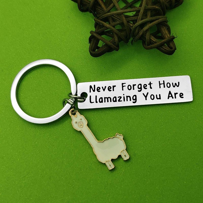 Baipilu Llama Keychain Llama Gift Keychain for Women Alpaca Gifts Animal Lover Gift Inspiring Inspired Motivational Keychains for Women birthday gift for friends - Image 4