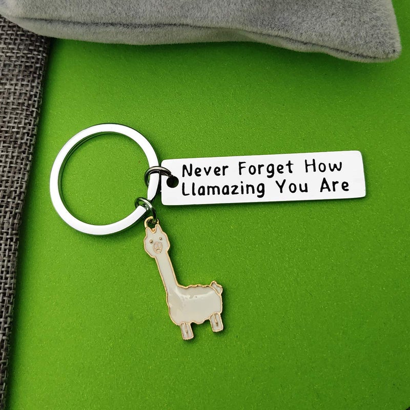 Baipilu Llama Keychain Llama Gift Keychain for Women Alpaca Gifts Animal Lover Gift Inspiring Inspired Motivational Keychains for Women birthday gift for friends - Image 3