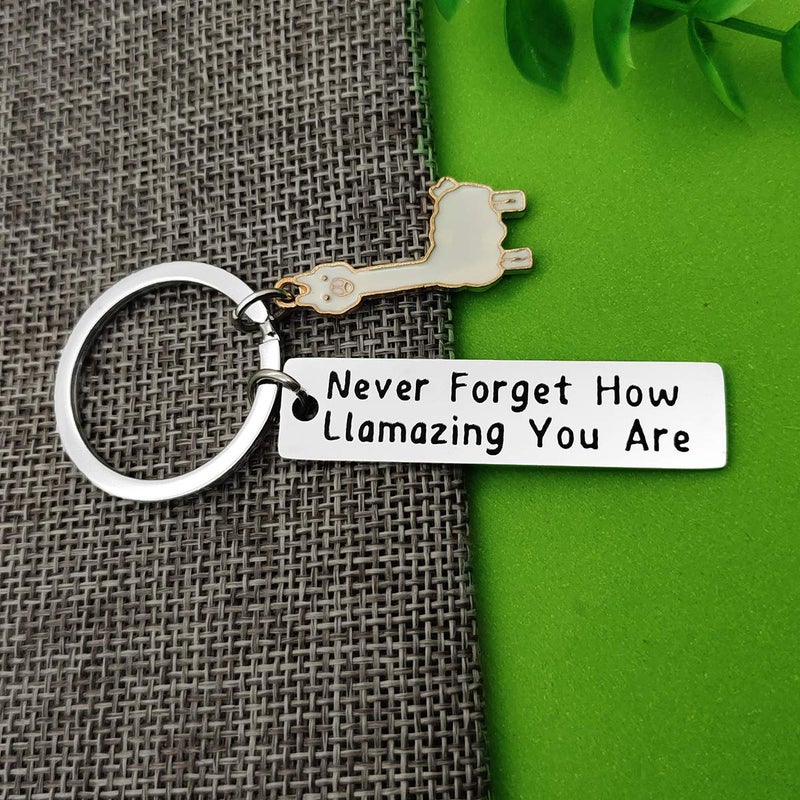 Baipilu Llama Keychain Llama Gift Keychain for Women Alpaca Gifts Animal Lover Gift Inspiring Inspired Motivational Keychains for Women birthday gift for friends - Image 2