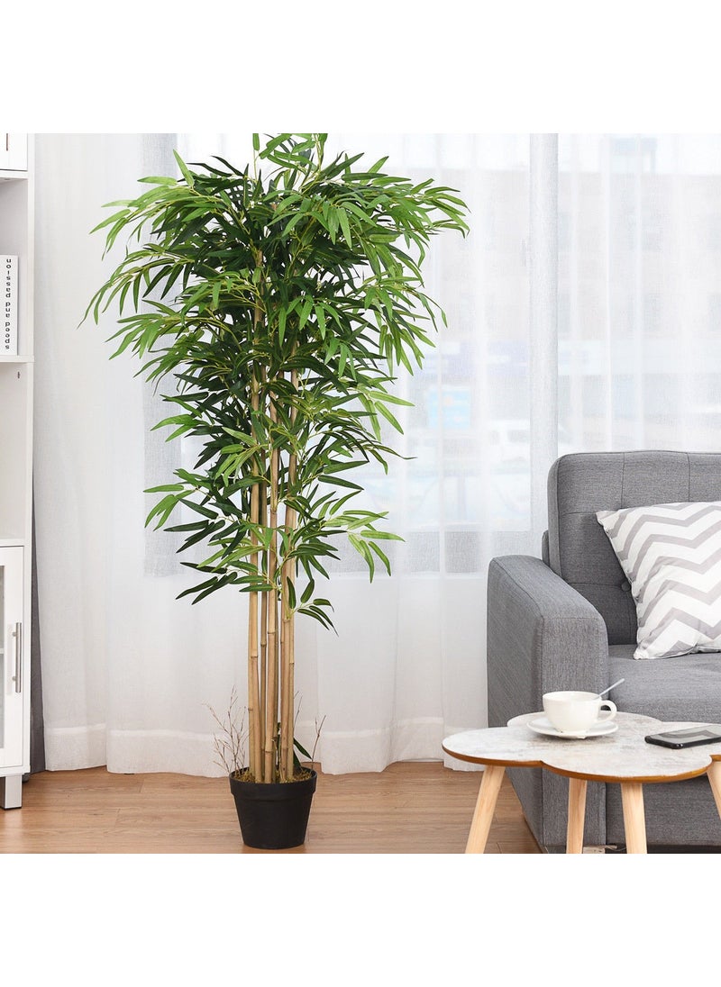 Nettenevime Artificial Bamboo Tree Extra Natural Look Black Potted 6 Branches 180CM - pzsku/Z529947A2DFE6531462C0Z/45/_/1725726103/e0eee09e-52ce-4937-b49d-55ea0df4f4f8