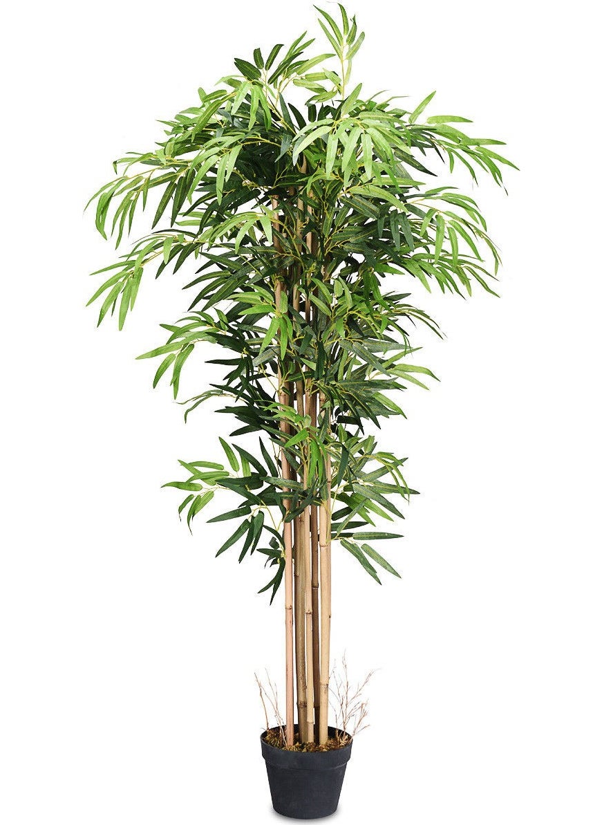 Nettenevime Artificial Bamboo Tree Extra Natural Look Black Potted 6 Branches 180CM - pzsku/Z529947A2DFE6531462C0Z/45/_/1725726104/ea1c8483-d229-48c1-a2fc-c2c086aa1cd3