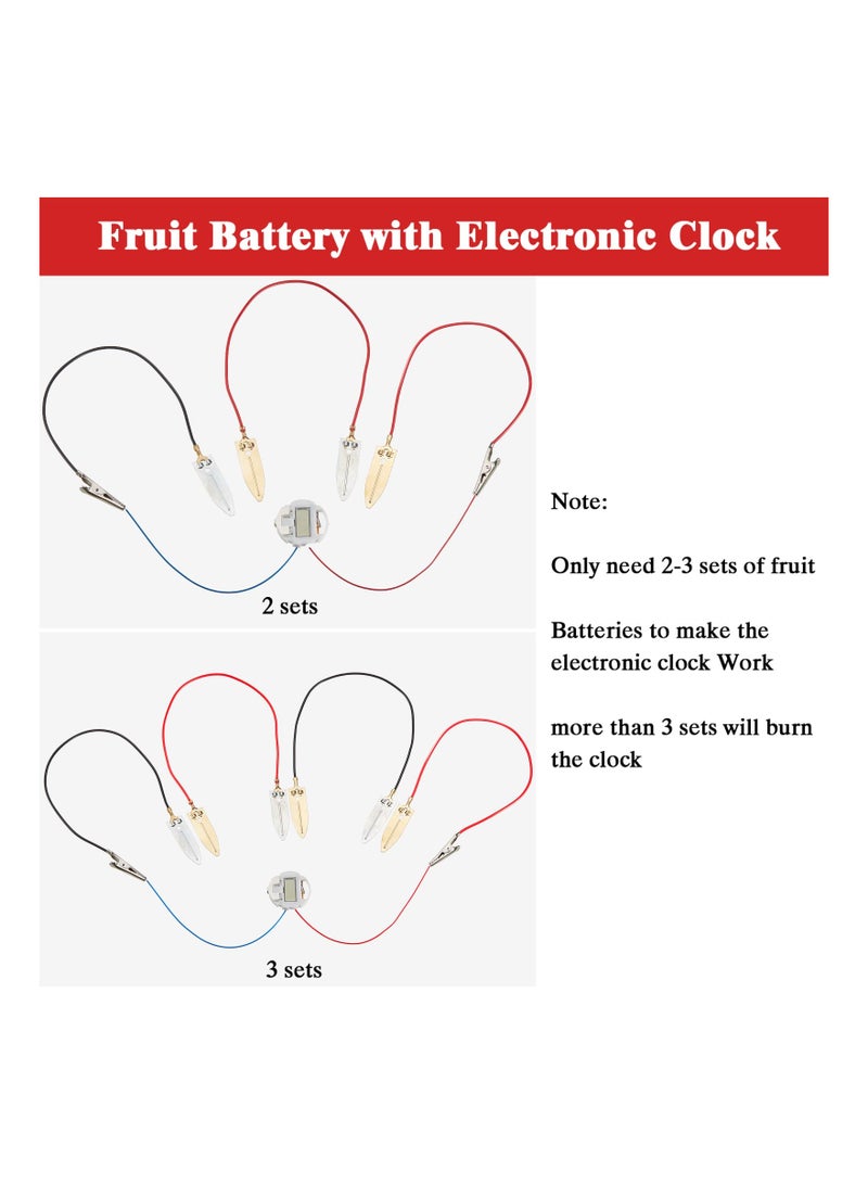 SYOSI 4 Sets Fruit Battery Kit, Lemon-Potato Battery Science Experiment Set Physics Teaching Tool Educational Toy Clock Hands-On Science Toy STEM Exploration Activity Bioenergy Experiment Kit for Students - Image 3