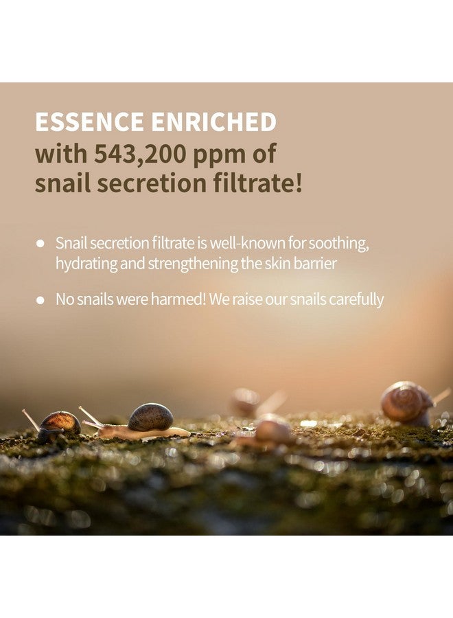 BENTON Snail Bee High Content Lotion 120Ml (4.05 Fl Oz.)Snail Mucin Moisturizer With Bee Venom Hydrating Korean Skin Care Facial Moisturizer For Dry Skin & Combination Skin - Image 2