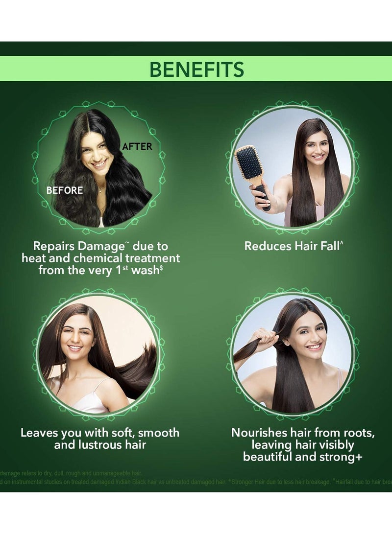 كيش كينج فروة الرأس والشعر الطب الايورفيدا تساقط الشعر خبير الضرر إصلاح الشامبو 340 مللي - Image 4