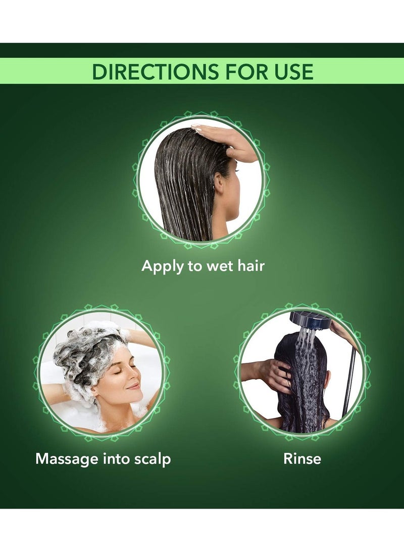 كيش كينج فروة الرأس والشعر الطب الايورفيدا تساقط الشعر خبير الضرر إصلاح الشامبو 340 مللي - Image 5