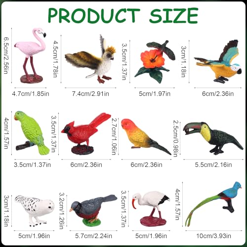 Warmshine 24 Pcs Realistic Bird Animals Figurines Mini Bird Figures Model Eagle Parrot Robin Owl Plastic Birds Figures Fairy Garden Accessories Dollhouse Birthday Cake Toppers - Image 5