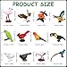 Warmshine 24 Pcs Realistic Bird Animals Figurines Mini Bird Figures Model Eagle Parrot Robin Owl Plastic Birds Figures Fairy Garden Accessories Dollhouse Birthday Cake Toppers - Image 4