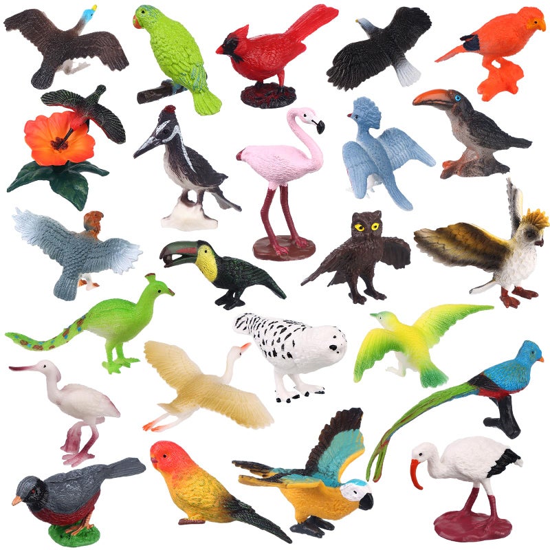 Warmshine 24 Pcs Realistic Bird Animals Figurines Mini Bird Figures Model Eagle Parrot Robin Owl Plastic Birds Figures Fairy Garden Accessories Dollhouse Birthday Cake Toppers - Image 3