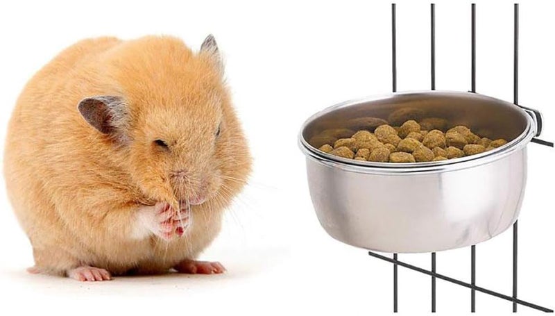 THE DDS STORE 2 Pack Bird Feeding Dish Cups, Parrot Food Bowl Clamp Holder - Stainless Steel Coop Cup, Bird Cage Water Bowl for Parakeet African Greys Conure Cockatiels Lovebird Budgie Chinchilla (150 ML X 2) - Image 4