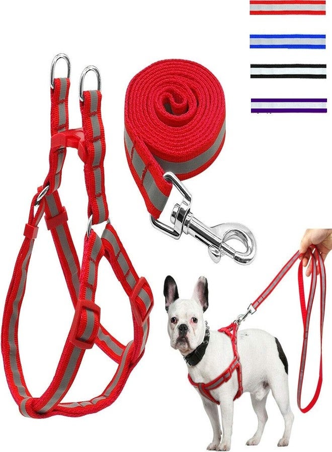 The DDS Store Nylon Reflective Dog Harness Leash Lead Set for Small Medium Dogs (Black) - Image 1