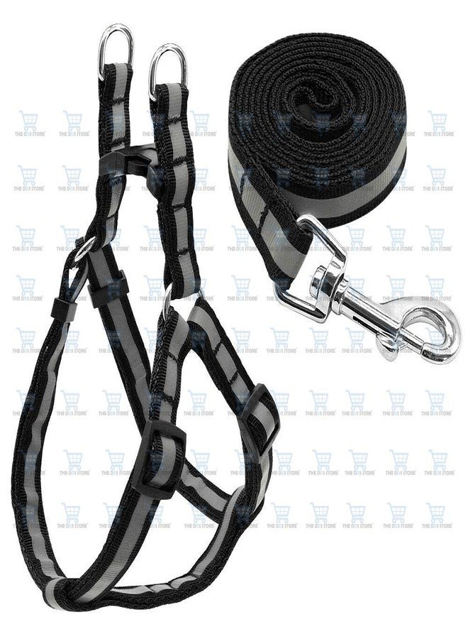 The DDS Store Nylon Reflective Dog Harness Leash Lead Set for Small Medium Dogs (Black) - Image 2