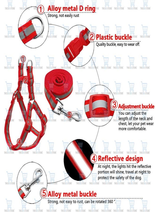 The DDS Store Nylon Reflective Dog Harness Leash Lead Set for Small Medium Dogs (Black) - Image 3