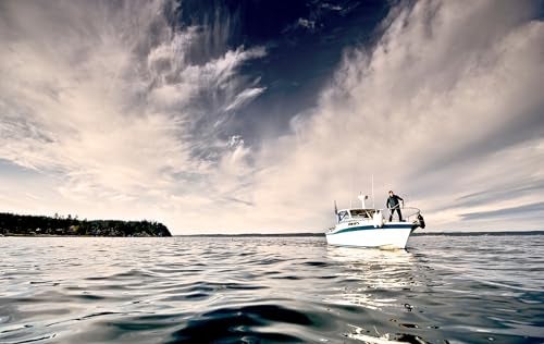 Polyform G-2 Boat Fender Sand - Image 4