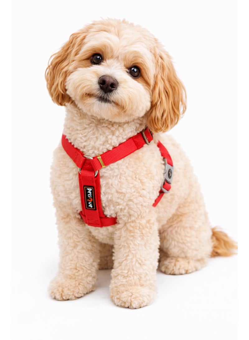 3D Dog Harness and Leash Set, Medium Size, Adjustable, 10-15kg, Neck 34-41cm, Chest 50-65cm - Image 1