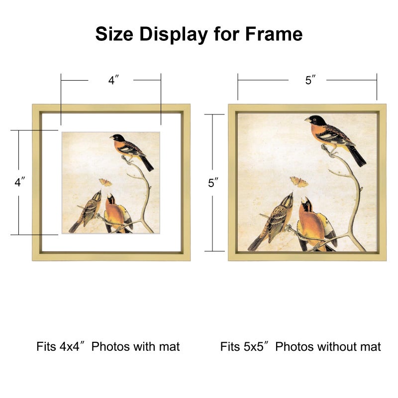BKABOT 5x5 Picture Frame, Brass Metal Photo Frames with HD Glass, Fits 4x4 with Mat or 5 x 5 without Mat, Display for Wall and Table, 3 Pack - Image 2