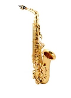 MegArya Alto Saxophone