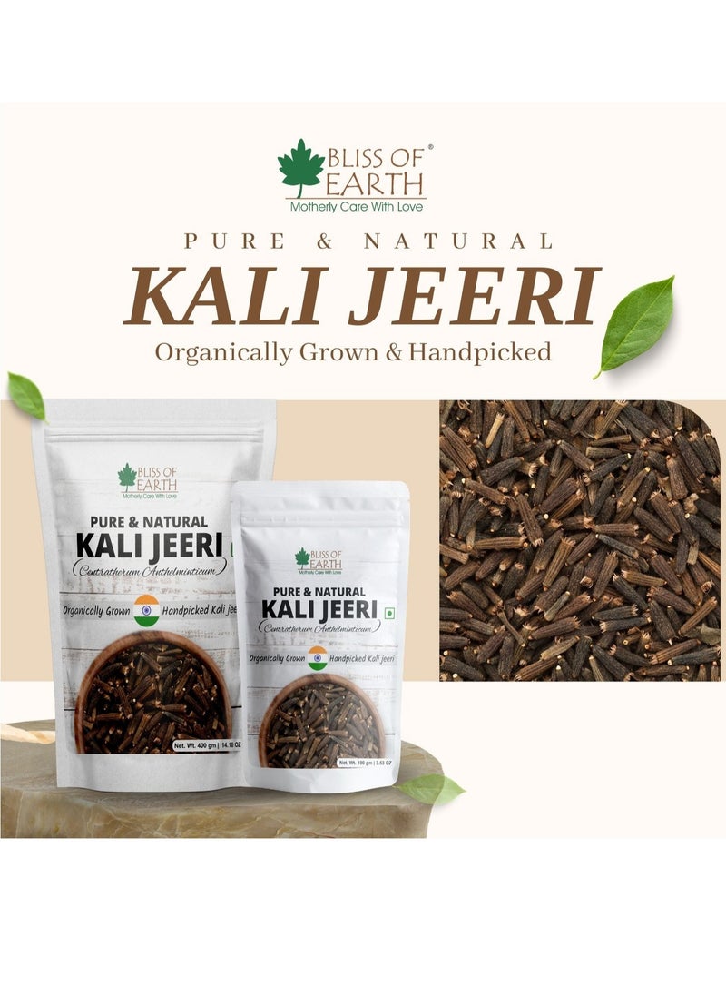 BLISS OF EARTH 900gm Kali Jeeri Bitter Cumin Kadwa Jeera Black Cumin Fresh & Organic Good for Health  - Image 2