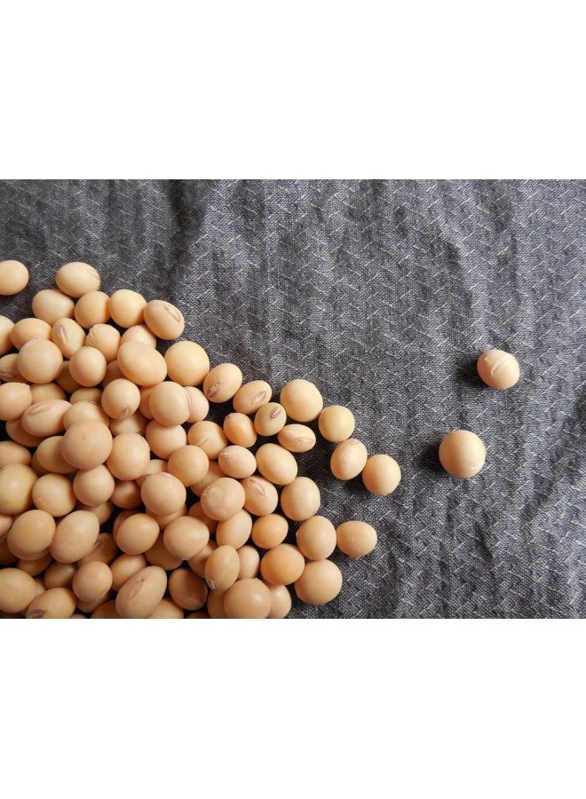 Golden Mountain Golden Mountain Soy Bean Sauce, Yellow Cap 200C Thai Food Cooking New From Thailand. - Image 1