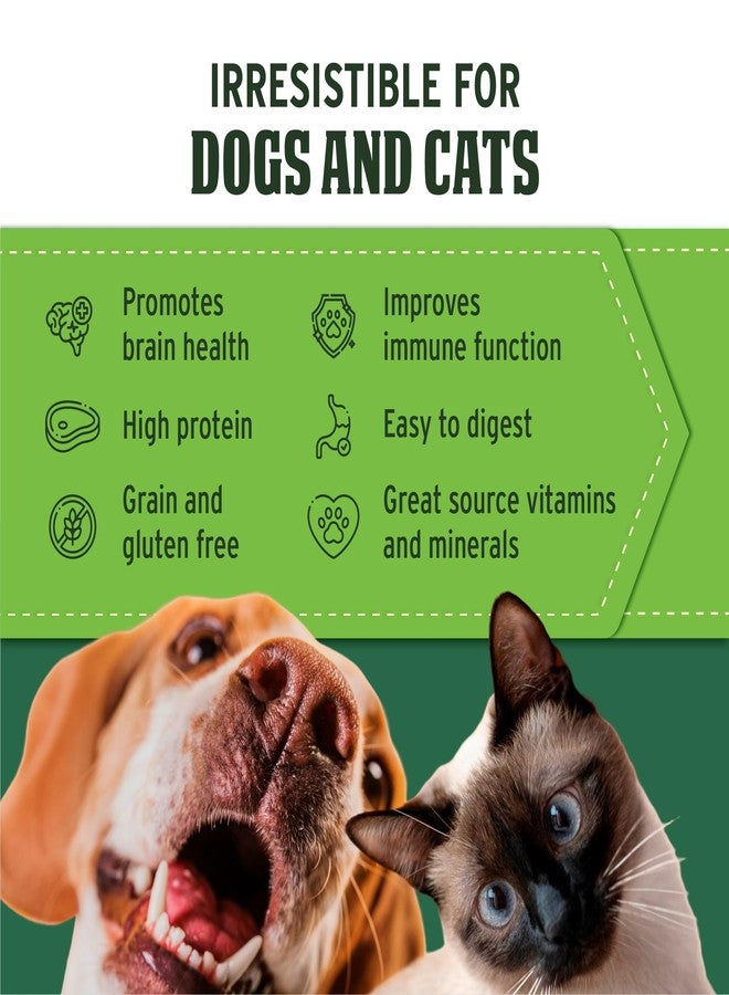 Nutri Bites Freeze Dried Beef Liver Dog & Cat Treats, Single Ingredient High Protein Pet Treats, 17.6 oz - Image 4