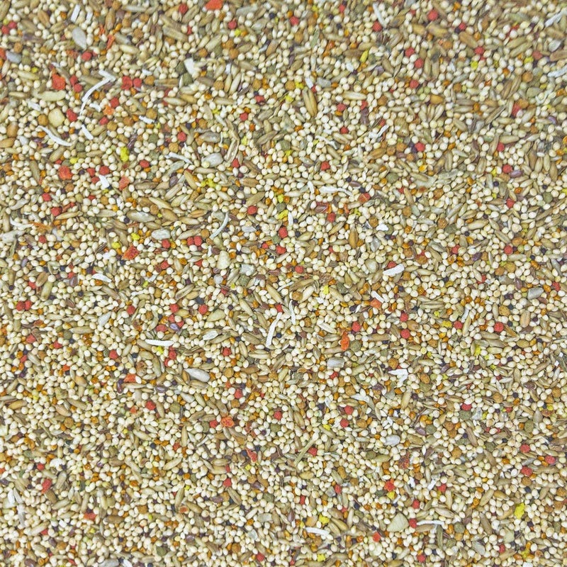 Higgins 2 Pack of Sunburst Gourmet Blend Parakeet Food, 2 Pounds Each, with Protein Egg Food - Image 2