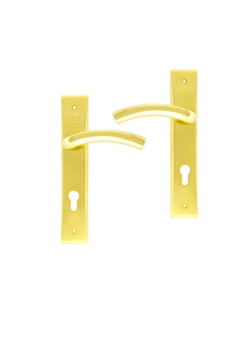 ROBUSTLINE Robustline Lever Handle Brass Plated with Lock - Image 2