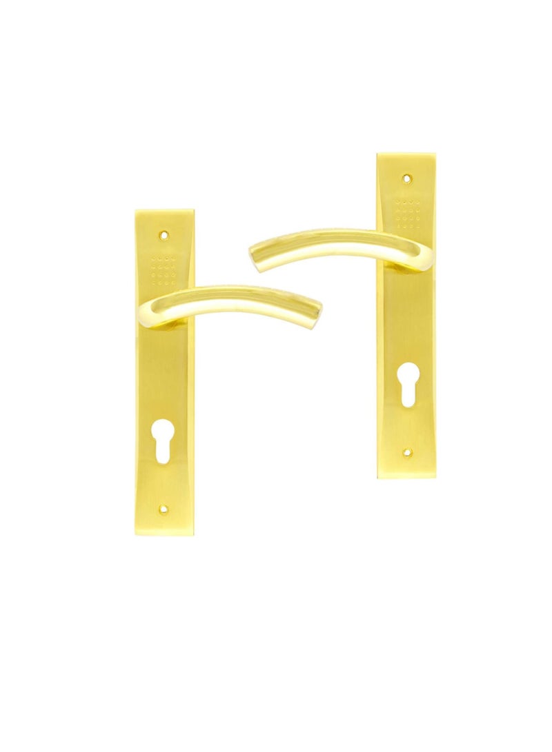 ROBUSTLINE Robustline Lever Handle Brass Plated with Lock - Image 1