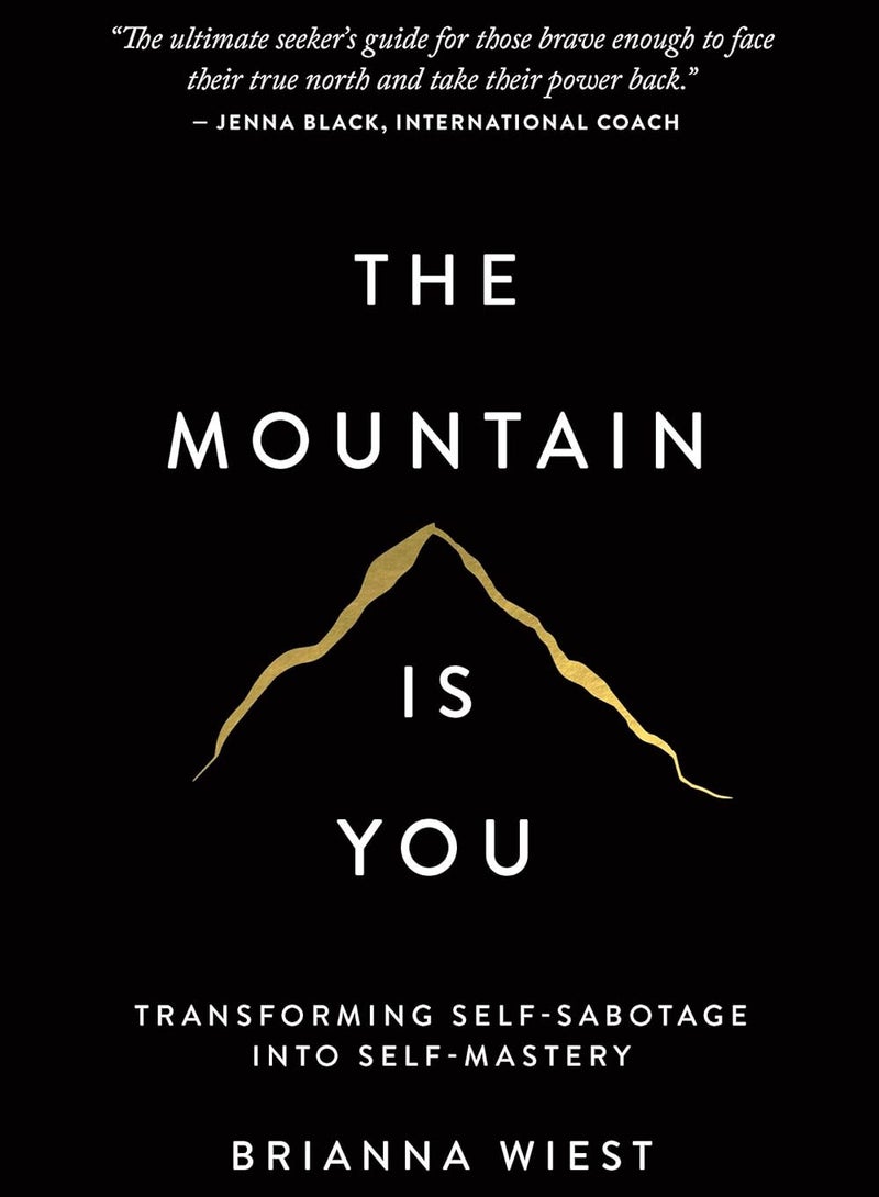 The Mountain Is You - By Brianna Wiest