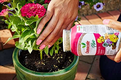 Osmocote Smart-Release Plant Food Plus Outdoor & Indoor, 1 lb. - Image 2