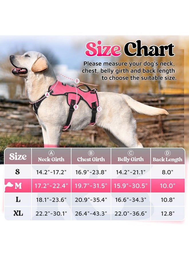 rabbitgoo Escape Proof Dog Harness, Soft Padded Full Body Pet Harness, Reflective Adjustable No Pull Vest with Lift Handle and Leash Clip for Large Dogs Walking Hiking Training, M, Pink - pzsku/Z52A97A40F046E74DE220Z/45/_/1736426726/914f7a46-10ee-41fd-b5c7-ff16203bd251