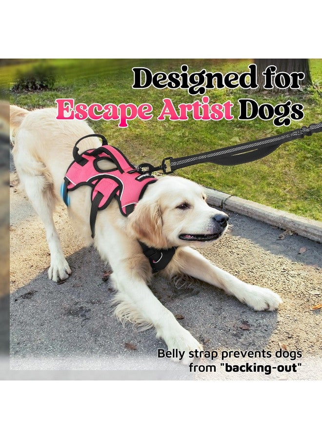 رابيتجو حزام كلب مقاوم للهروب من rabbitgoo، حزام ناعم مبطن لكامل الجسم للحيوانات الأليفة، سترة عاكسة قابلة للتعديل بدون سحب مع مقبض رفع ومشبك مقود للكلاب الكبيرة أثناء المشي والتدريب، مقاس M، وردي - Image 3