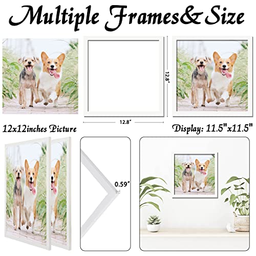 icariery 12x12 Picture Frame Set of 2, White Square Photo Frames High Transparent Wall Gallery Desktop Horizontal Vertical for Canvas Collage Photo Poster Certificate 12 x 12 inches - Image 3