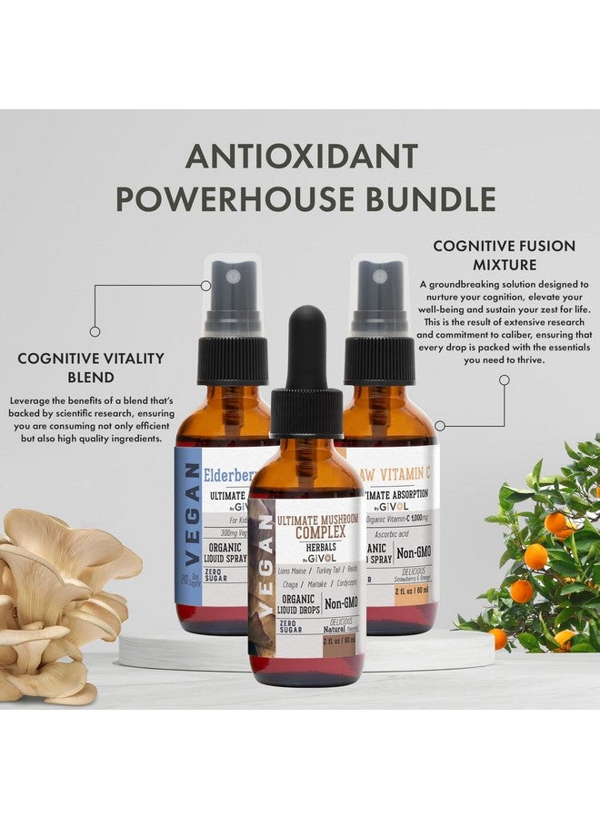GIVOL Antioxidant Powerhouse Bundle - Elderberry, Raw Vitamin C, Mushroom Complex - Nutriments, Phytonutrients & Cognitive Well-Being All in One Package - Multivitamins - 2 Fl Oz - 240 Days Supply - Image 5