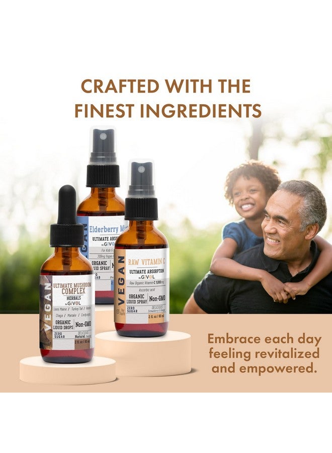 GIVOL Antioxidant Powerhouse Bundle - Elderberry, Raw Vitamin C, Mushroom Complex - Nutriments, Phytonutrients & Cognitive Well-Being All in One Package - Multivitamins - 2 Fl Oz - 240 Days Supply - Image 2