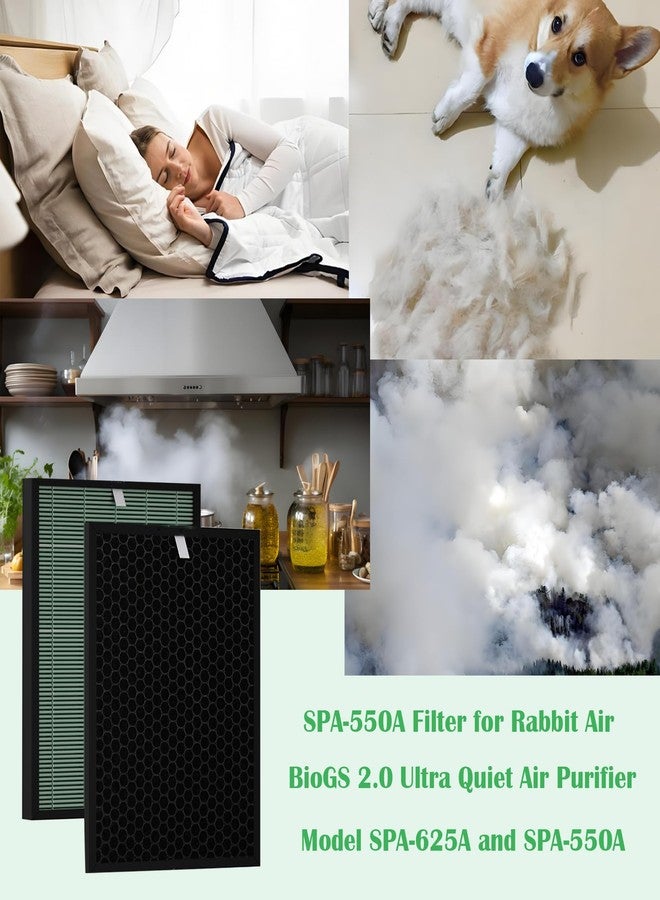 DAODEFUL BioGS 2.0 Replacement Filter Kit Compatible with Rabbit Air SPA-550A & SPA-625A – 2 Set HEPA & Activated Carbon Filters | Captures Dust Odors for Home Large Room Pet Owner – 12–18 Month Supply - Image 5