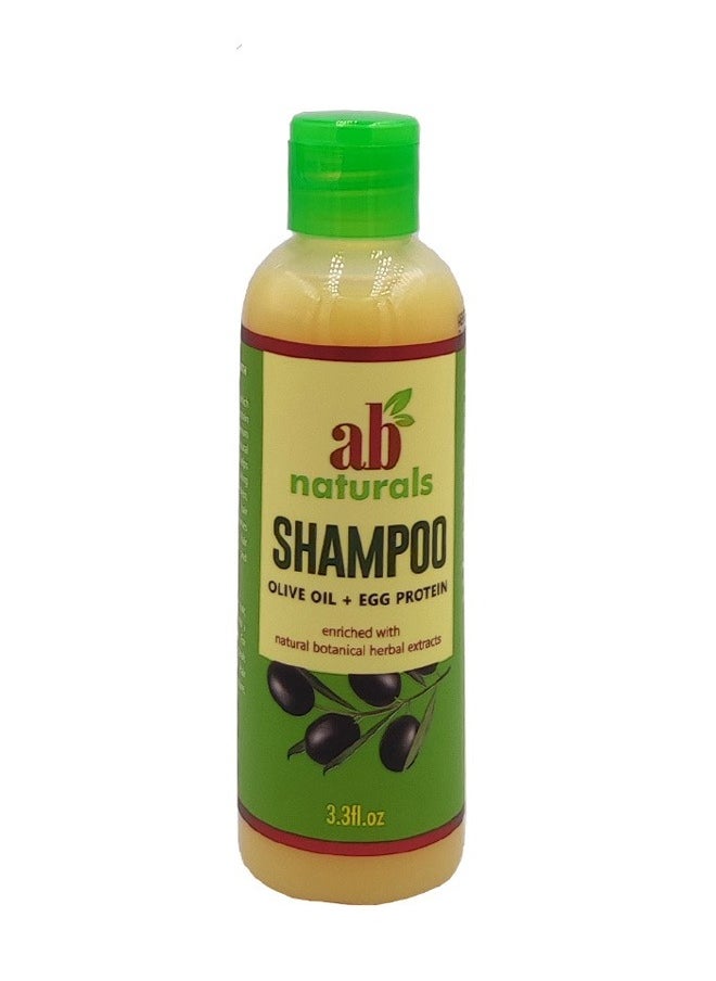 Shampoo Olive Oil and Egg Protein 3.3 oz - pzsku/Z52AA11193D736A4691BFZ/45/_/1716062235/de3a9f04-58f5-4968-8b56-0a1cbb9ee106