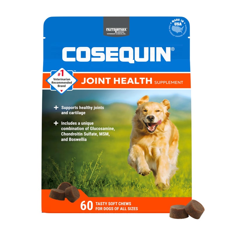 Nutramax Laboratories Cosequin DS Plus MSM Professional Line for Dogs, 60 Soft Chews - Image 1