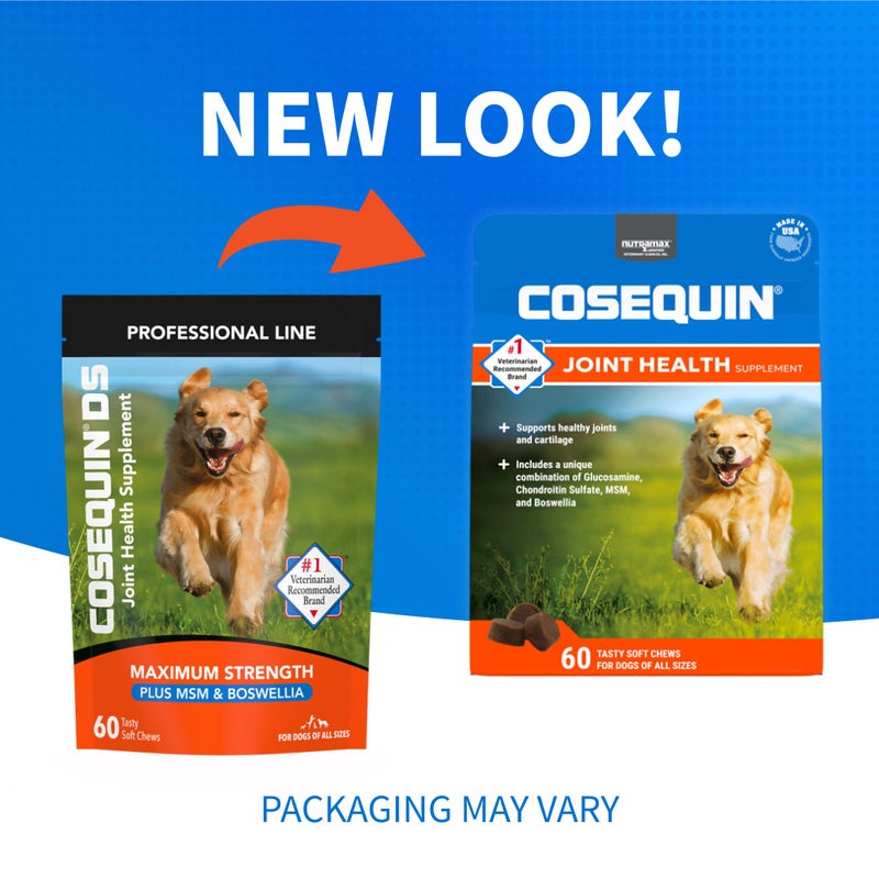 Nutramax Laboratories Cosequin DS Plus MSM Professional Line for Dogs, 60 Soft Chews - Image 2