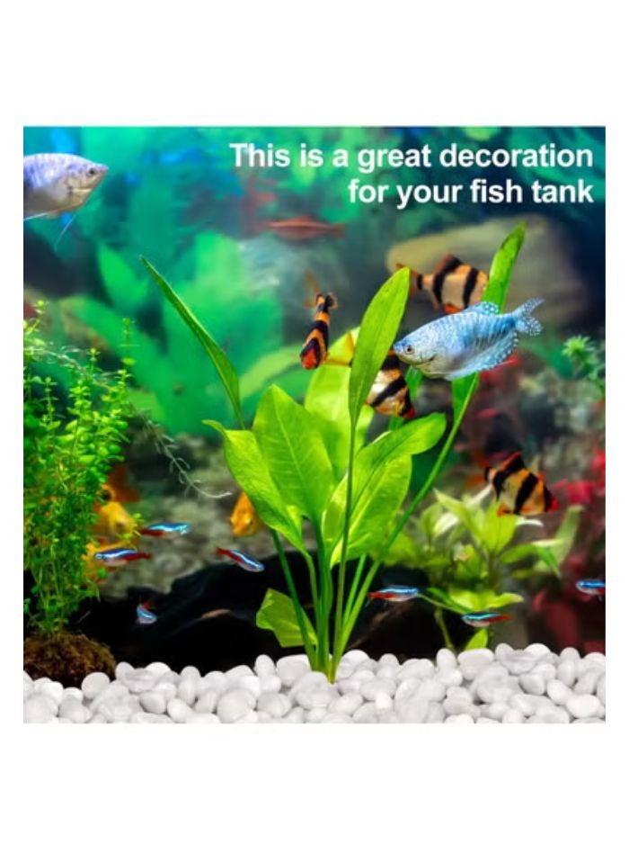 vsell24 3KG 2-4mm Medium White Stones Polished Natural White Pebbles For Garden Landscaping Fish Tank Vase Filler Cactus Succulents Aquariums  - Image 3
