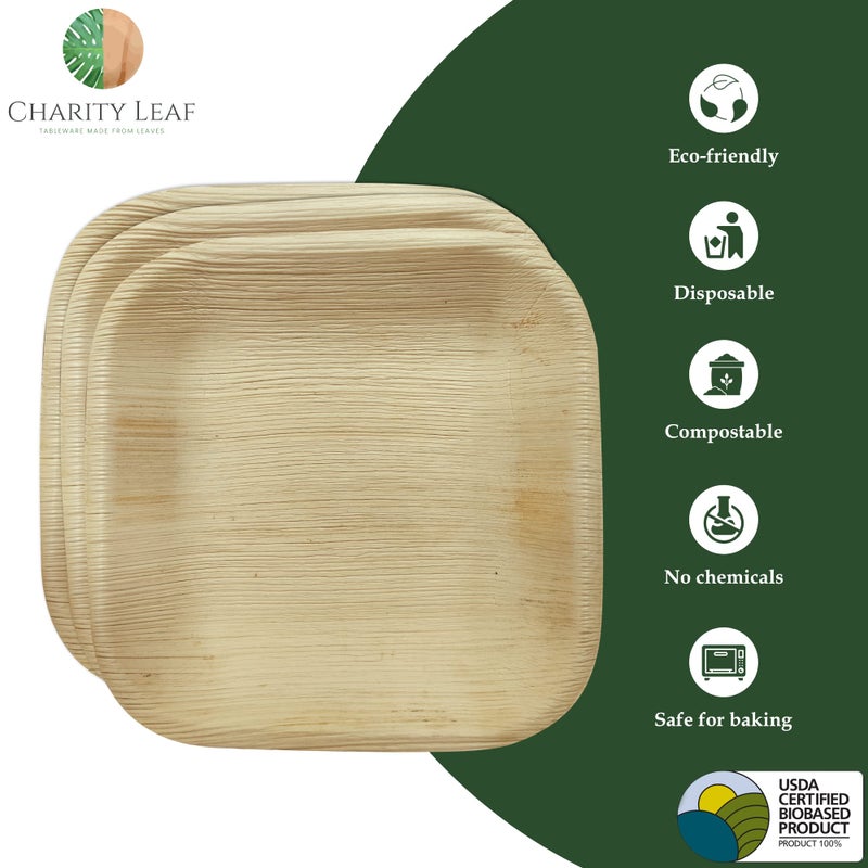 Charity Leaf Disposable Palm Leaf 6"" Square Plates (50 pieces) Bamboo Like Serving Platters  Disposable Boards  Eco-Friendly Dinnerware For Weddings  Catering  Events - Image 2